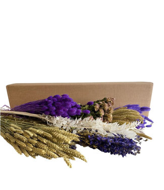 4A Couleurs mélangées violet naturel fleurs séchées boîte DIY assortiment | Longueur 65-75 centimètres | Par 7 bouquets