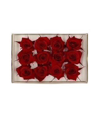 4A Rose rouge préservée | Roses préservées | Diamètre 4 centimètres | Par 12 pièces