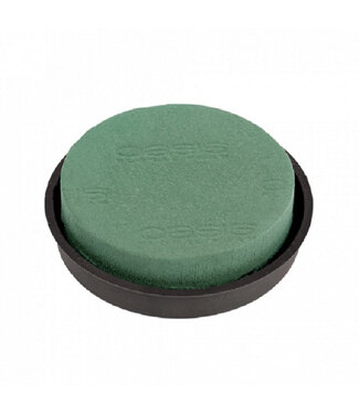 4A Coussin Rond Oasis Vert Naylorbase | Diamètre 31 centimètres | Par 2 pièces