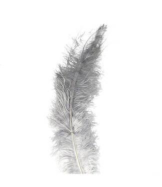 4A Grey Ostrich Feathers | Length 55 centimetres | Per 5 pieces