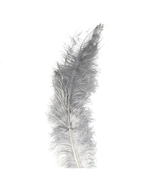 Grey Ostrich Feathers | Length 55 centimetres | Available to order in sets of 5