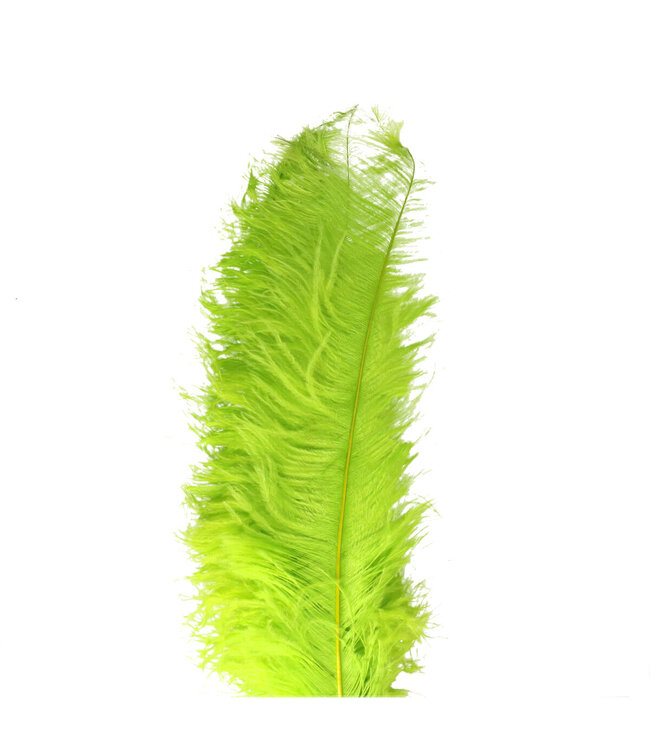 Plumes d'autruche vertes | Longueur 55 centimètres | Commande par lot de 5 pièces