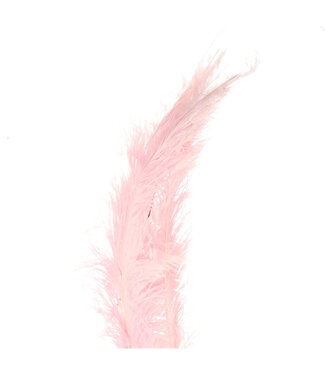 4A Light Pink Ostrich Feathers | Length 55 centimetres | Per 5 pieces