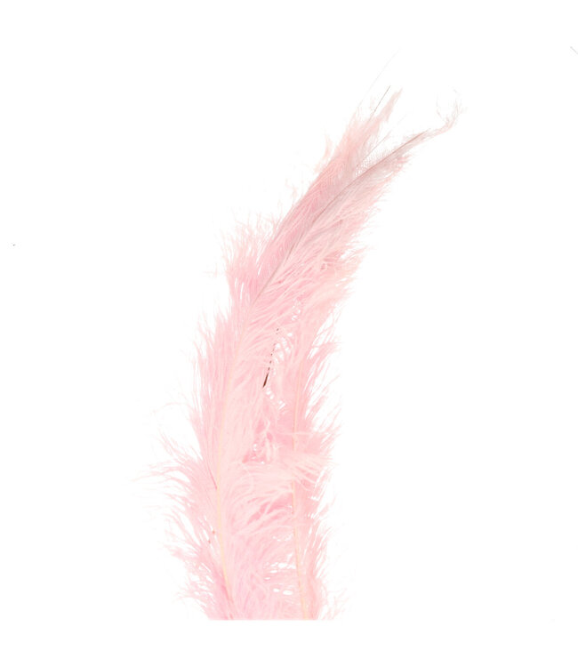 Light Pink Ostrich Feathers | Length 55 centimetres | Available to order in sets of 5
