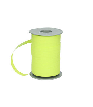 4A Light green matte Ribbon 027 | Width 10 millimetres | Length 200 metres | Per piece