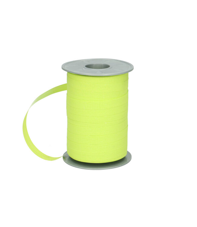 Light green matte Ribbon 027 | Width 10 millimetres | Length 200 metres | Available per piece