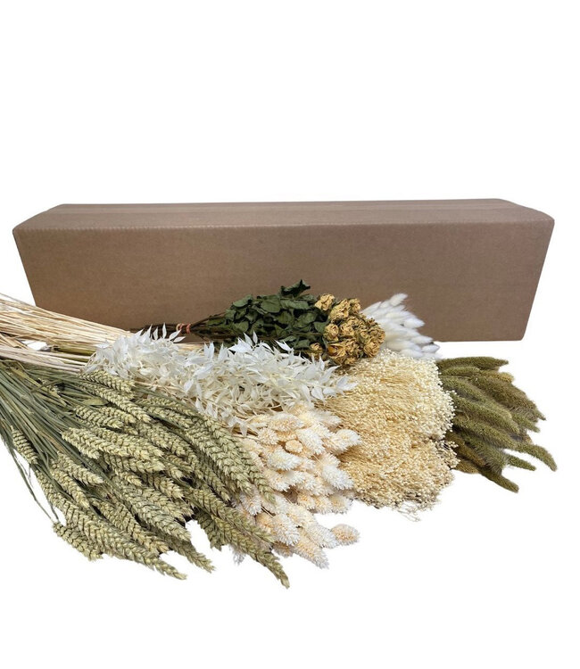Gemischte Farben natürliche getrocknete Trockenblumen DIY Box Sortiment | Länge 65-75 Zentimeter | Pro 7 Stück zu bestellen