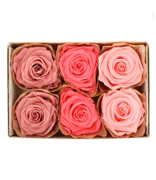 Pink preserved rose | Preserved roses | Diameter 6 centimetres | Available to order in sets of 6