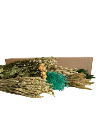 4A Couleurs mélangées vert blanc fleurs séchées assortiment boîte DIY | Longueur 65-75 centimètres | Par 7 bouquets
