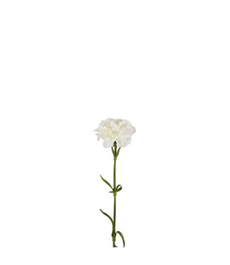 4A Natural white carnation artificial flower | Dianthus artificial flowers | Length 53 centimetres | Per 6 pieces