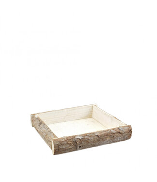 4A Plateau en bois de bouleau naturel | Dimensions 20 x 20 x 4 centimètres | Par 8 pièces