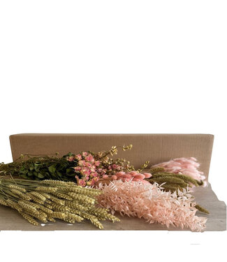 4A Couleurs mélangées roses fleurs séchées boîte DIY assortiment | Longueur 65-75 centimètres | Par 7 pièces