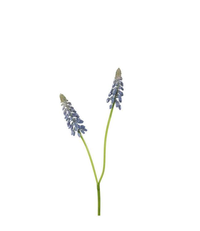 Blue Grape Hyacinth artificial flower | Muscari artificial flowers | Length 45 centimetres | Available to order per 12 pieces