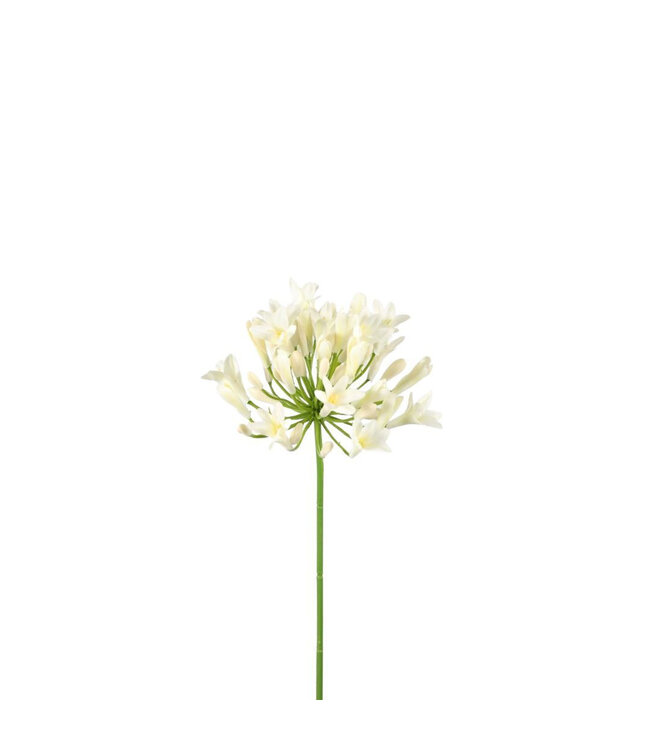 Natural white African Cape Lily artificial flower | Agapanthus artificial flowers | Length 75 centimetres | Available to order in sets of 6
