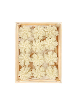 4A Pommes de pin blanches naturelles | Diamètre 14 centimètres | Par 12 pièces