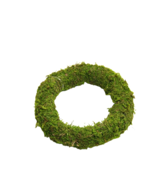 Green moss wreath | Diameter 15 centimetres | Available to order in sets of 12