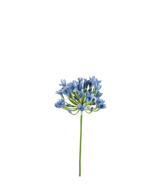 4A Light blue African Cape Lily artificial flower | Agapanthus artificial flowers | Length 75 centimetres | Per 6 pieces