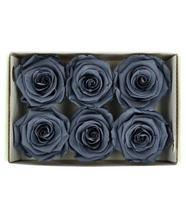 Grey preserved rose | Preserved roses | Diameter 6 centimetres | Available to order in sets of 6