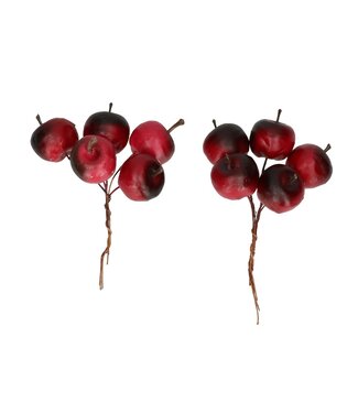 4A Pomme rouge Bijsteker | Diamètre 2,5 centimètres | Par 20 pièces