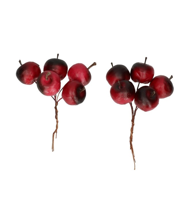 Roter Apfel Beihefter | Durchmesser 2,5 Zentimeter | Pro 20 Stück zu bestellen