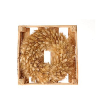4A Natural Bunny Tails Wreath | Lagurus Dried Flowers | Diameter 30 centimetres | Per piece