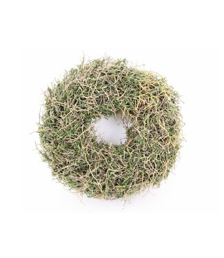 4A Naturelle Couronne de Buisson en Fer | Diamètre 23 centimètres | Par pièce