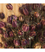 Dried natural Nigella "Black Pod" dried flowers | Length ± 45 centimetres | Available per bunch
