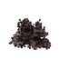 Dried natural Nigella "Black Pod" dried flowers | Length ± 45 centimetres | Available per bunch