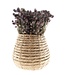 Dried natural Nigella "Black Pod" dried flowers | Length ± 45 centimetres | Available per bunch
