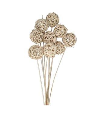 4A Natural white Brunch ball stick | Length 50 centimetres | Diameter 5 centimetres | Per 10 pieces