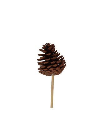 4A Brown pine cone pick | Length 50 centimetres | Diameter 6 centimetres | Per 25 pieces