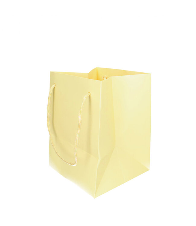 Light yellow Olympic bags | Size 25 x 18 x 18 centimetres | Available to order in sets of 10
