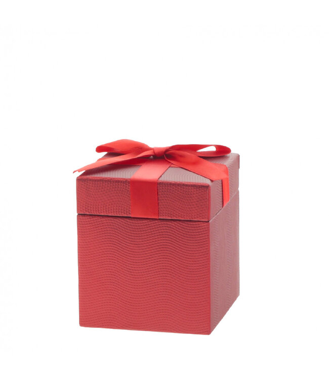 Boîtes cadeaux rouges Gina | Dimensions 9,3 x 10 centimètres | À commander par lot de 6 pièces