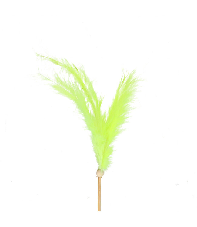 Piquet avec plumes vertes | Longueur 50 centimètres | Diamètre 14 centimètres | Commande par 25 pièces