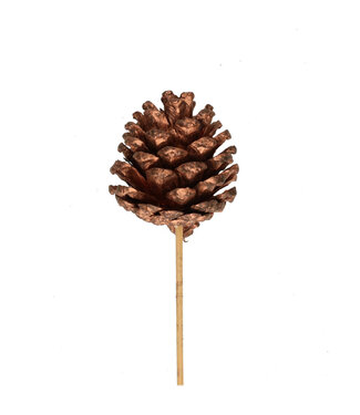 4A Pique décorative pomme de pin couleur cuivre | Longueur 50 centimètres | Diamètre 6 centimètres | Par 25 pièces
