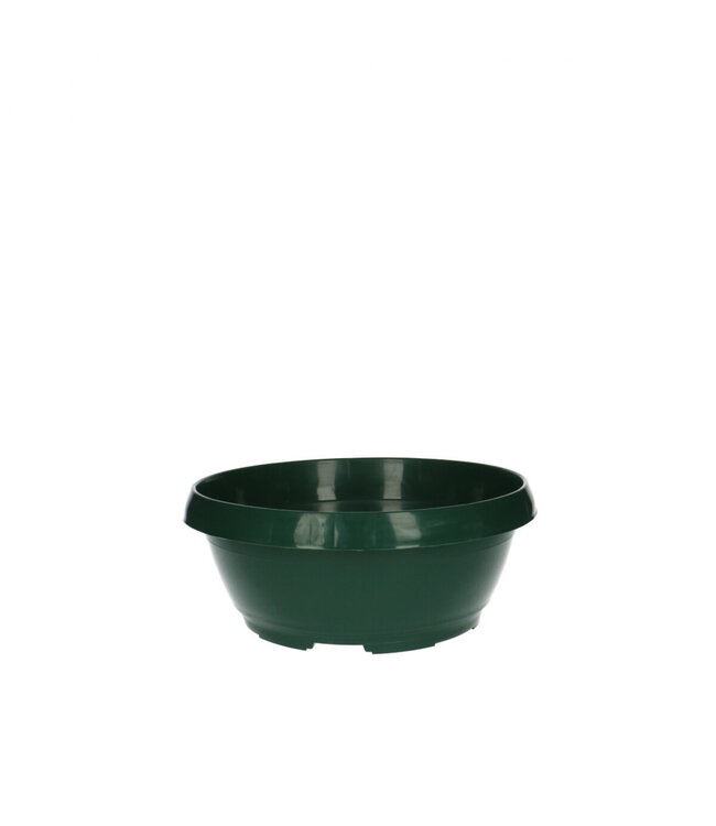 Green plant pot flowerpot bowl classic | Size 20 x 12 centimetres | Available to order in sets of 10