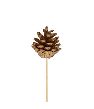 4A Pique-décor pomme de pin dorée | Longueur 50 centimètres | Diamètre 6 centimètres | Par 25 pièces