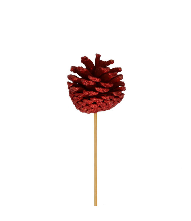 Pique rouge pomme de pin | Longueur 50 centimètres | Diamètre 6 centimètres | Commande par 25 pièces