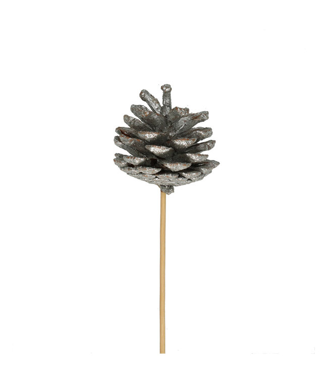 Silberfarbener Tannenzapfen-Stecker | Länge 50 Zentimeter | Durchmesser 6 Zentimeter | Pro 25 Stück zu bestellen