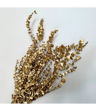 Casa Alegria Gold-coloured Eucalyptus Baby Blue | Length ± 55 - 60 centimetres | Weight 150 grams | Per bunch