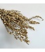 Gold-coloured Eucalyptus Baby Blue | Length ± 55 - 60 centimetres | Weight 150 grams | Available per bunch