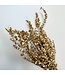 Gold-coloured Eucalyptus Baby Blue | Length ± 55 - 60 centimetres | Weight 150 grams | Available per bunch