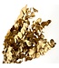 Golden Eucalyptus Espiral Cinerea | Length ± 55 centimetres | Weight 150 grams | Available per bunch