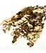 Golden Eucalyptus Espiral Cinerea | Length ± 55 centimetres | Weight 150 grams | Available per bunch