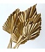 Gold-Coloured Palm Leaf Spear | Length ± 50 centimetres | Available to order per 10 stems