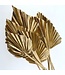 Gold-Coloured Palm Leaf Spear | Length ± 50 centimetres | Available to order per 10 stems