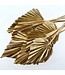 Gold-Coloured Palm Leaf Spear | Length ± 50 centimetres | Available to order per 10 stems