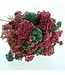 Rice Flowers Bouquet Preserved | Length ± 70 centimetres | Mint Green - Pink - Salmon | Available per bouquet
