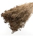 Light brown Broom Bloom dried flowers | Length ± 50 centimetres | Weight 100 grams | Available per bunch