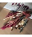 Bouquet of dried flowers Andina | Purple - Bordeaux red dried flowers | Length ± 50 centimetres | Available per bouquet
